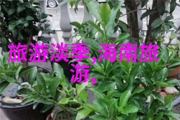 梦幕下的文字舞蹈