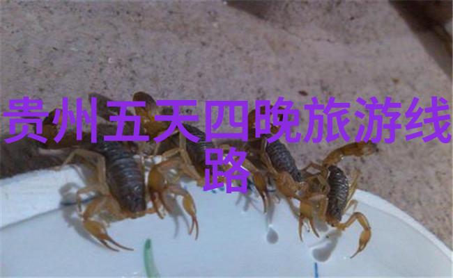 全球化视角下当代旅游业的可持续发展策略研究