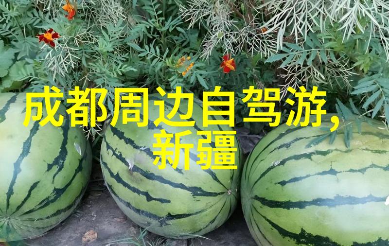 坝上草原自驾游攻略探索风光旖旎的自然奇观
