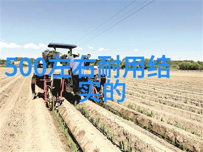 四年级学生的夏令营游记探索自我成长与友谊之旅