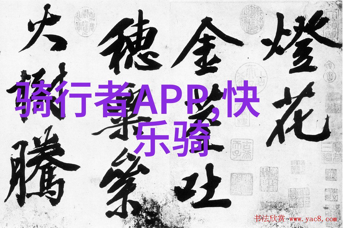 骑行软件app-追风者领航骑行APP的未来