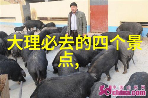 5月春光明媚国内旅游热点推荐