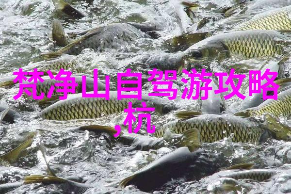 春日游之选探索4月最佳旅行目的地春季旅行推荐四月出行攻略