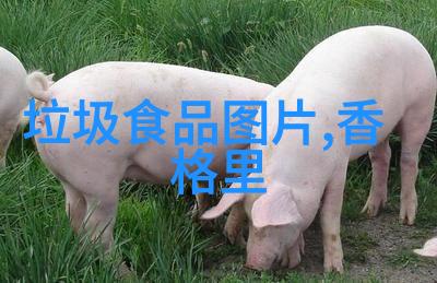 从简到繁如何通过细节提升民宿的居住体验