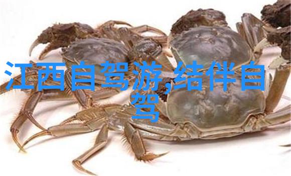 贵州避暑胜地前十大旅游景点推荐