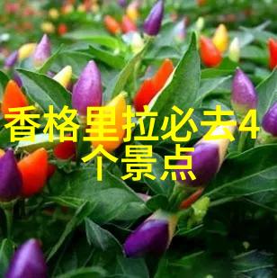 选择在北京南站附近的住宿需要考虑哪些因素才能保证舒适度