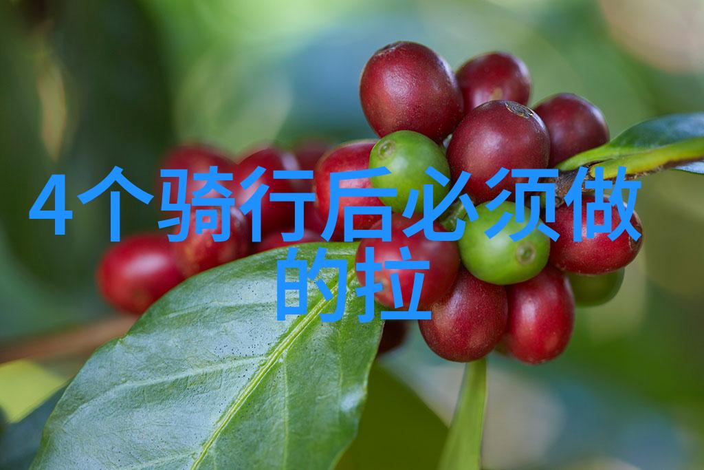 桂林山水甲天下自驾游桂林的美丽风景和自驾旅行体验