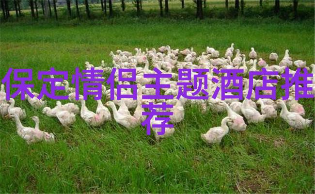在当前情况下我们可以期待从事什么样的特色体验式旅行