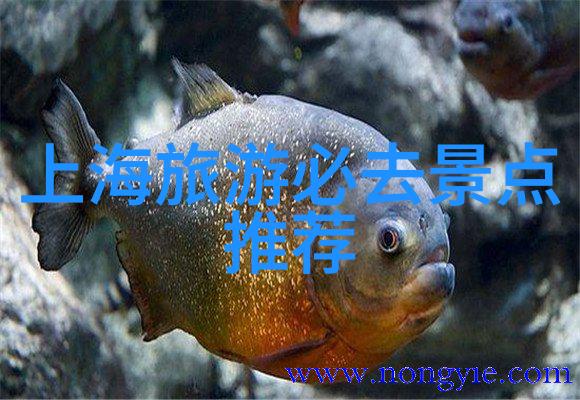绿意盎然的选择在杭城附近有没有优雅的花园公园可以参观