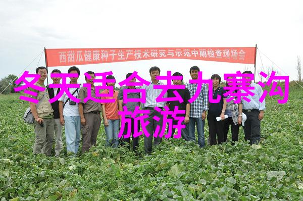 健儿汇聚大师傅带来大班体育活动名称100个精选集锦