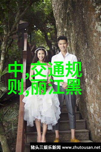 古诗中的采薇意象从文字到文化的深度解读