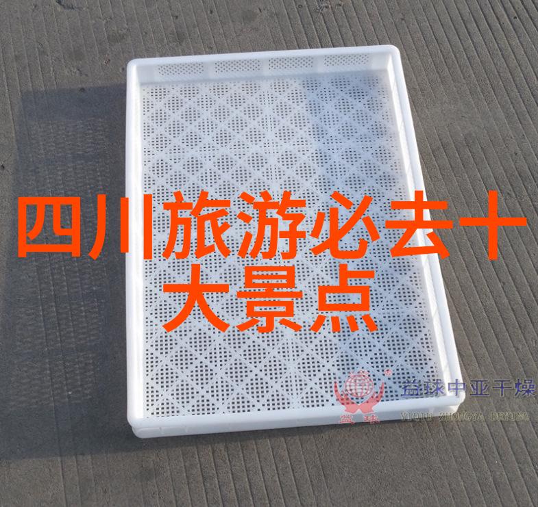 小户型大开眼界西双版纳行程安排与经济效益评估
