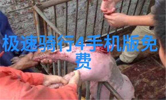 探索张家界秘境一份详实的自助游住宿攻略