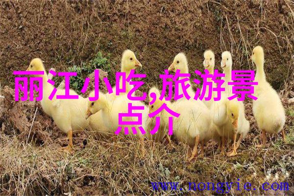在2021年近期旅游新闻最新消息中贵阳有哪些好看的拍照景点