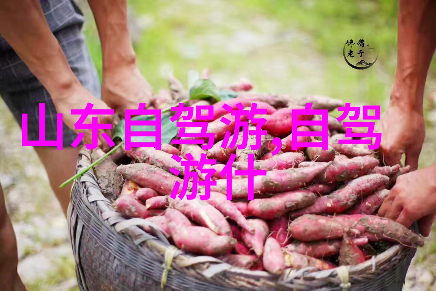 云南奇迹巡礼翱翔云端的梦幻之都