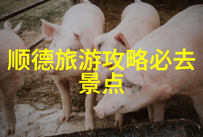 正宗味道真迹风味南京特色小吃一览