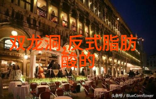 泉州西街住宿攻略体验传统文化的温馨之选