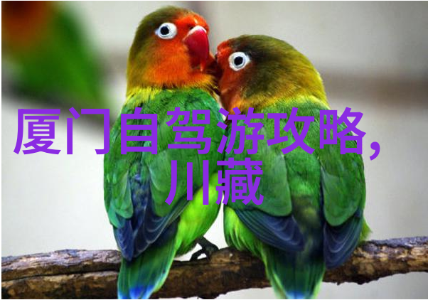 摩崖石刻与沙漠风情探索敦煌的历史与自然美景