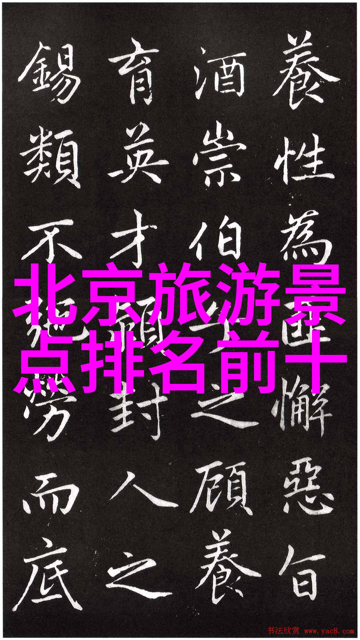 区域活动100个名称我眼中的百态揭秘这些让人心动的活动名字
