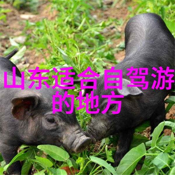 泰山旅游攻略穿越时光随月而换鼓浪屿不同季节的时尚指南