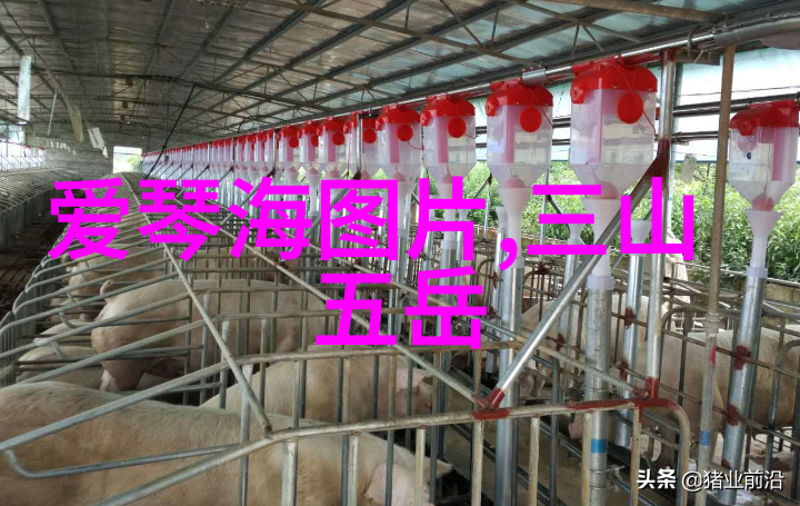 重回十七岁下载青春回忆的数字化传说