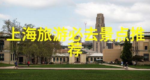 探秘骑行界的宠儿揭秘最受欢迎的应用程序