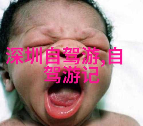 西北之恋追逐沙漠梦想感受戈壁风情
