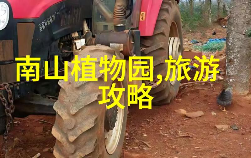 青岛自然美景二日游跟团行程