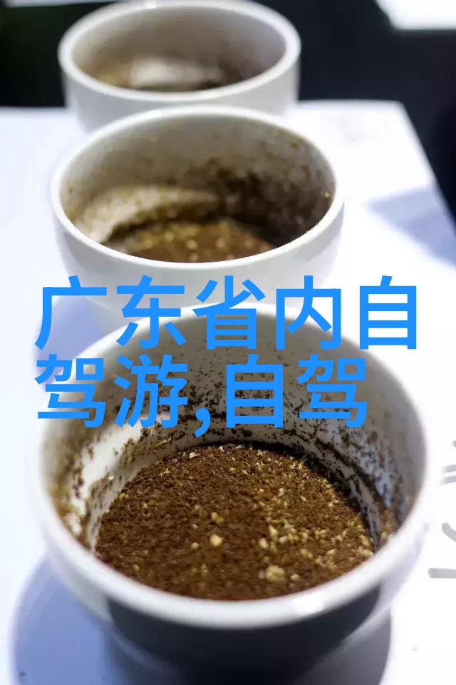 西岭雪山住宿攻略寻找白雪皑皑下的安逸避风港