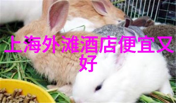 将军归来英雄的重逢与新的征途