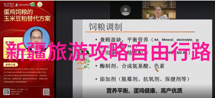 全球范围内人们为什么会选择前往城市天文台进行旅行
