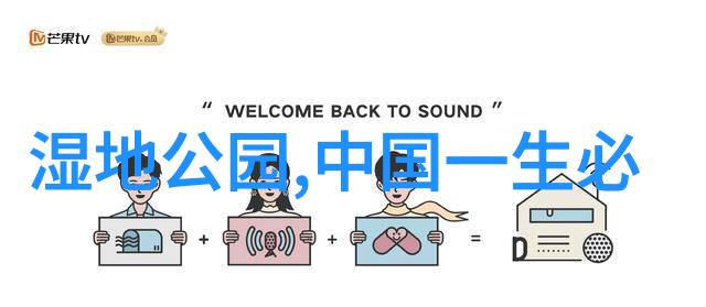 黄山风景之谜那遥远的翠峦背后藏着什么秘密
