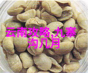共鸣之旅员工团建活动策划方案
