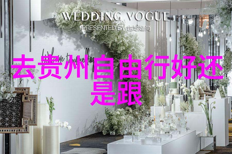 银发游客的幸福列车老年旅游专列游探秘