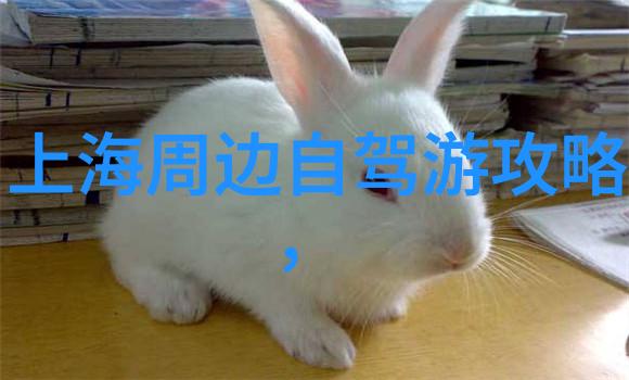 骑行三十公里的谜团解析体重不减的原因