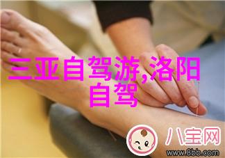 西湖畔的诗意探秘杭州那些隐藏在常人视线之外的美丽角落