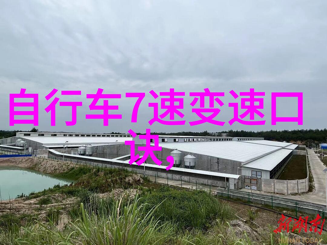 墨旅随想纷飞笔下之梦游记