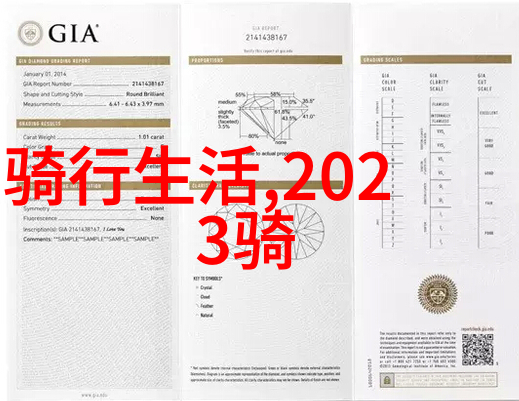 户外活动我和朋友们的惊险冒险攀岩与露营之旅