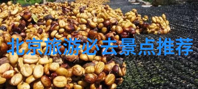 旅游景点开放查询查一查你心仪的旅行地是否开启了大门