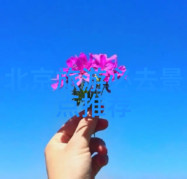 芒街探秘泉州旅游必去十大景点中的神秘之旅