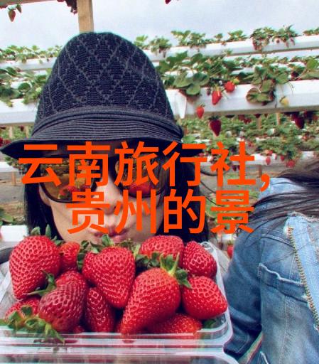 在预订过程中您通常关注哪些因素来评估一家民宿的价格合理性