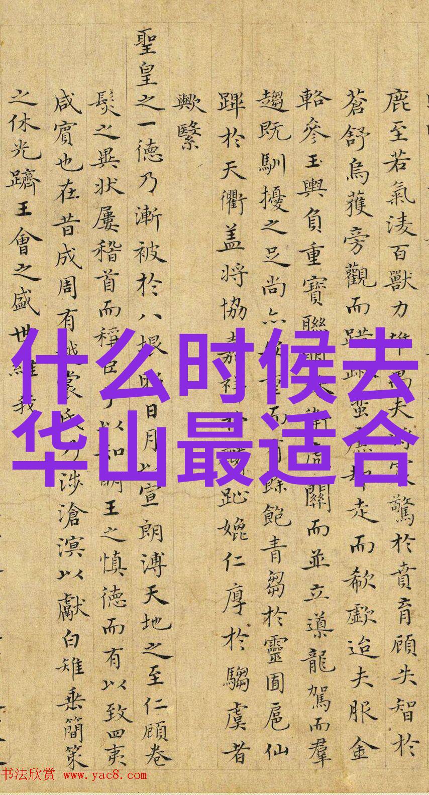嵊泗列岛自驾游攻略我在嵊泗的海上冒险一场不一样的自驾游