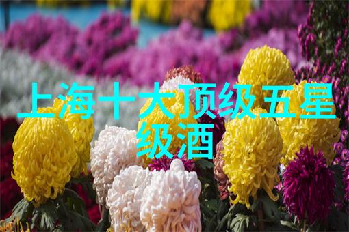 东省美景探秘青山绿水中的奇迹之旅