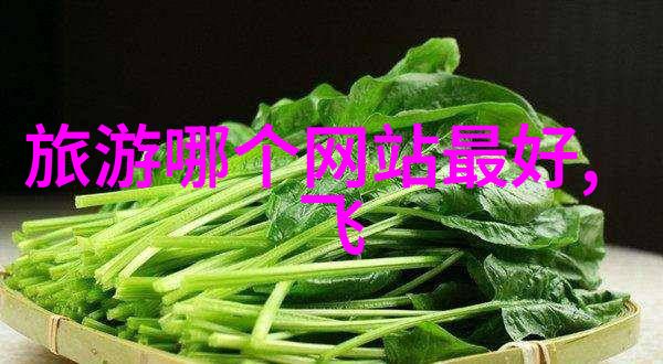中国古典美景之旅探索中国的古代文化与自然风光