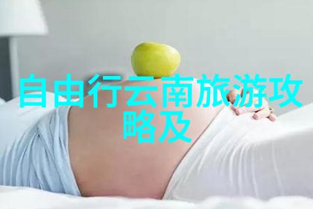 幼儿园集体户外活动精彩探秘户外游戏自然探索团队建设健康运动