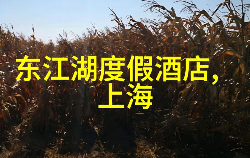 如何安全行驶并享受山东自驾探险