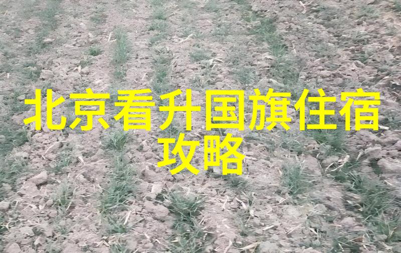 上海近郊民宿推荐 - 探秘沪外寻找上海周边独特民宿体验