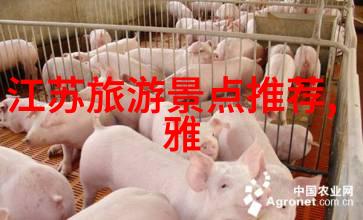 自驾游保险之谜去哪里才能买到心仪的保障