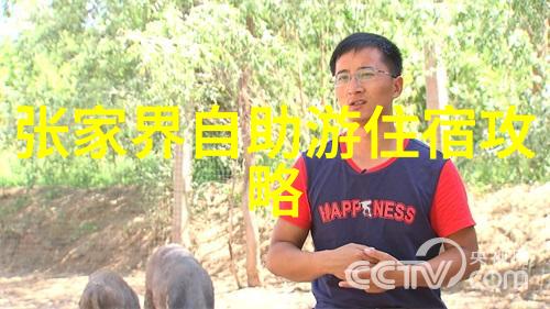 中国旅行社官网-探索国门之旅中国旅行社官方网站上的精彩体验