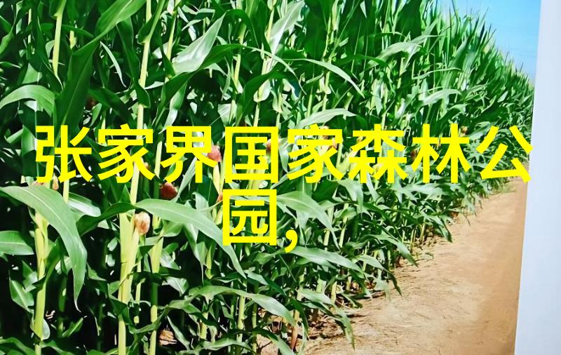 荒岛上的温泉与城市的喧嚣